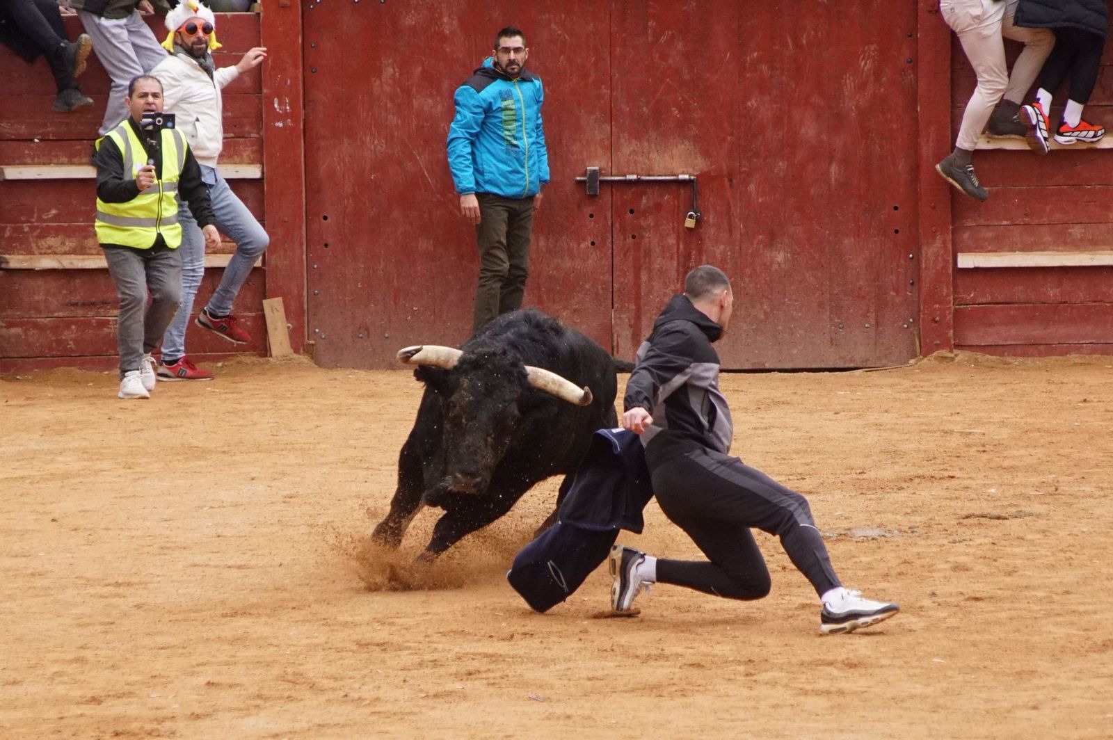Destacados saltos, quiebros y toreo de capa en la capea del Lunes de Carnaval en Ciudad Rodrigo