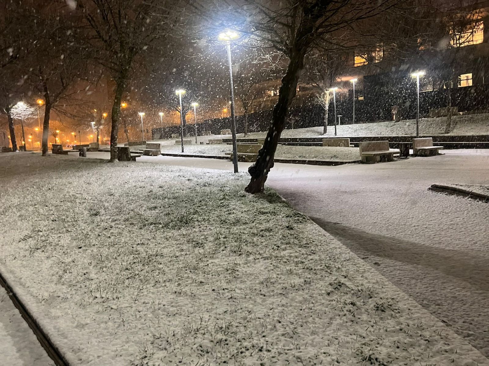 WhatsApp Image 2026-01-28 at 10.12.12 (2).jpeg