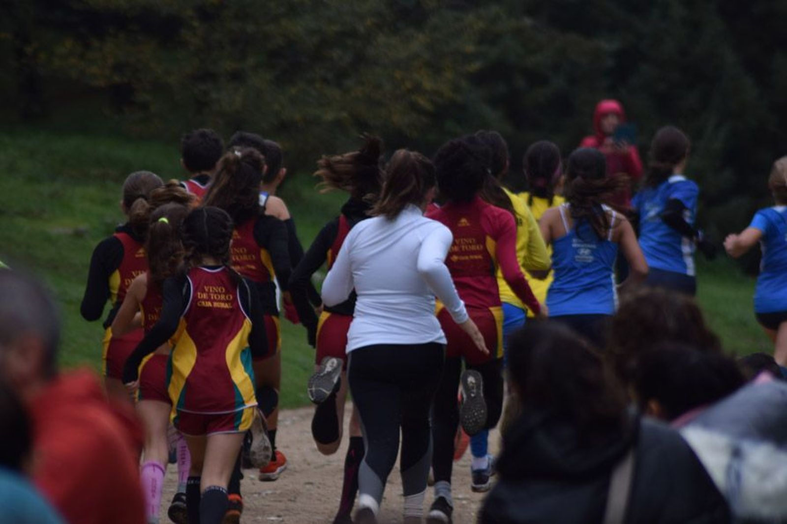 cross-de-otono-en-el-bosque-de-valorio-41