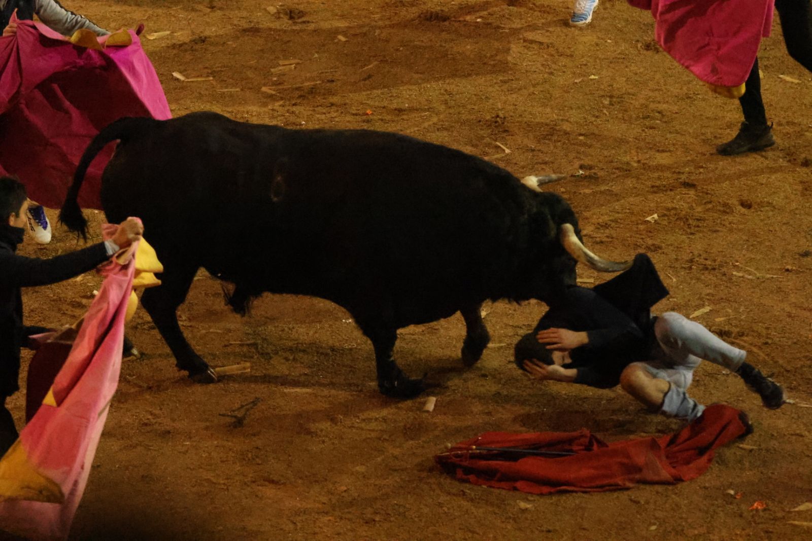 Capea Nocturna del Viernes en Ciudad Rodrigo