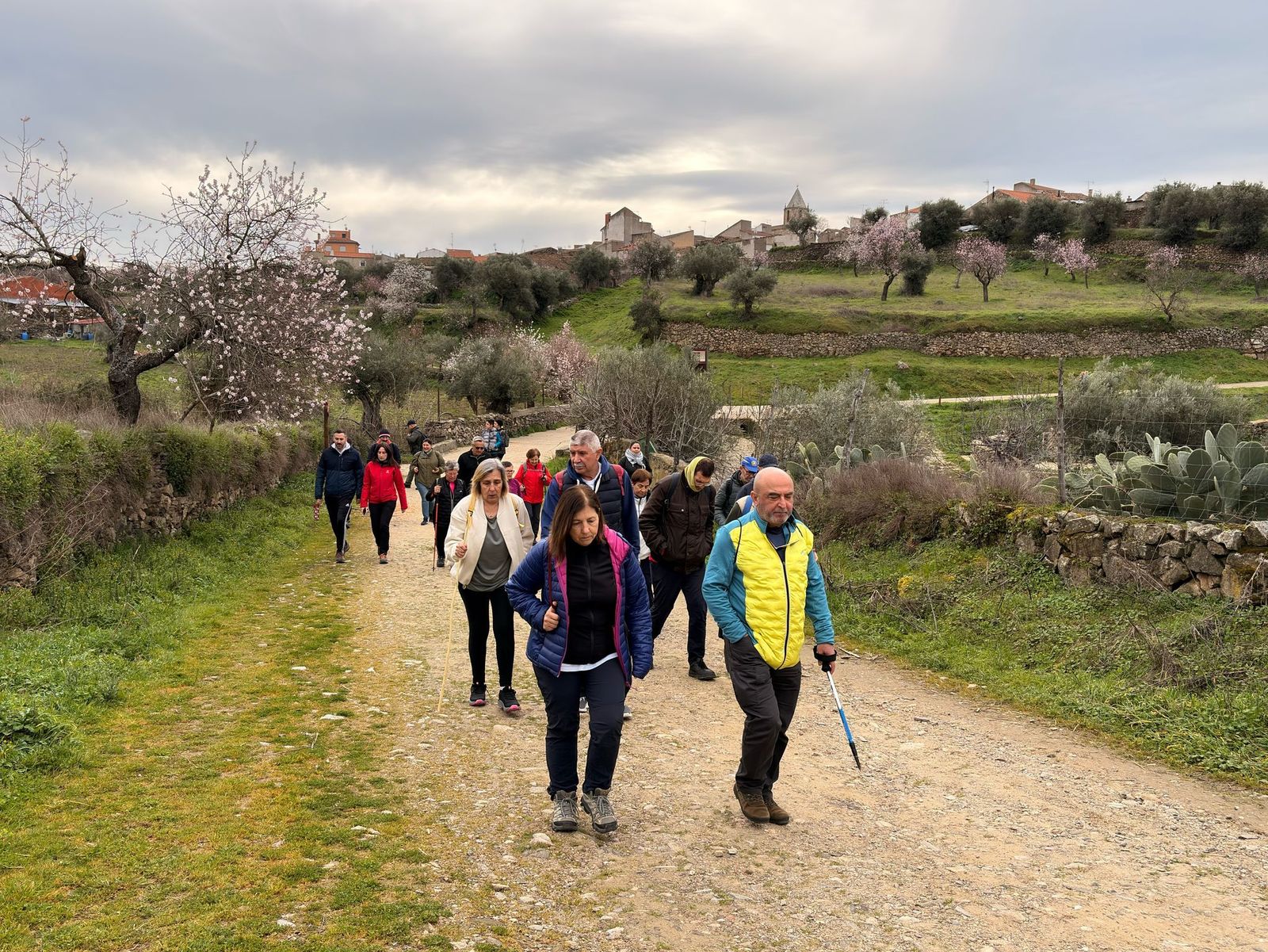 whatsapp-image-2025-02-15-at-11-09-35