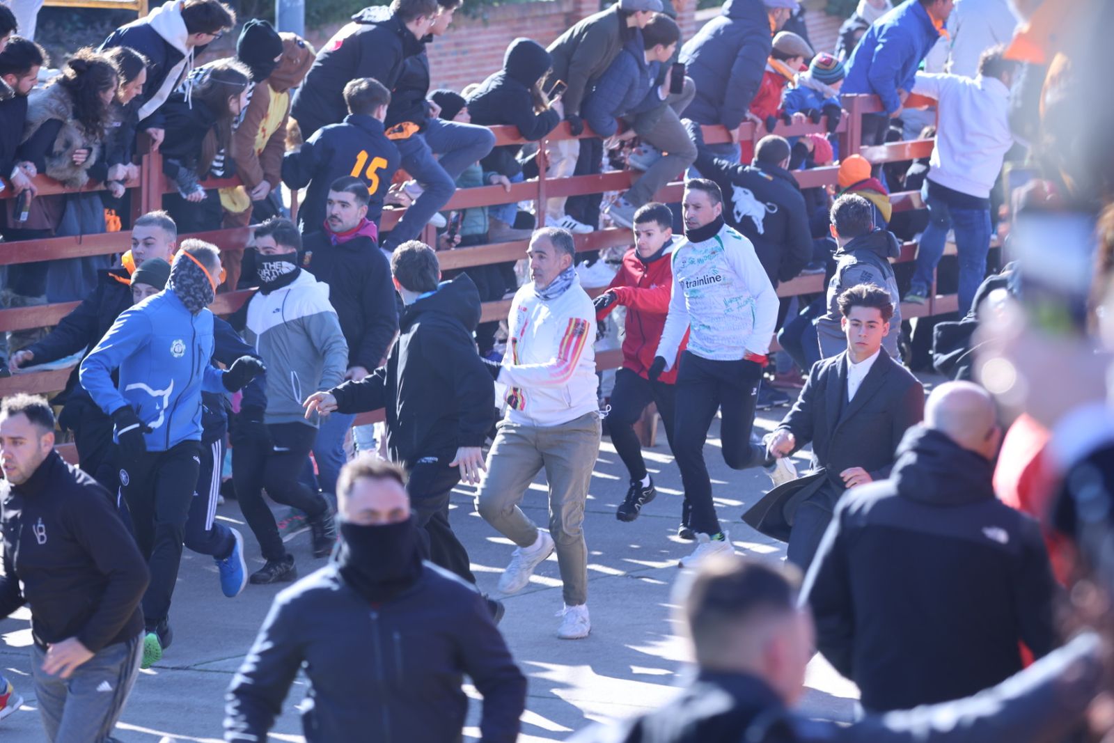 Toro del Antruejo 2026 en el Carnaval del Toro de Ciudad Rodrigo