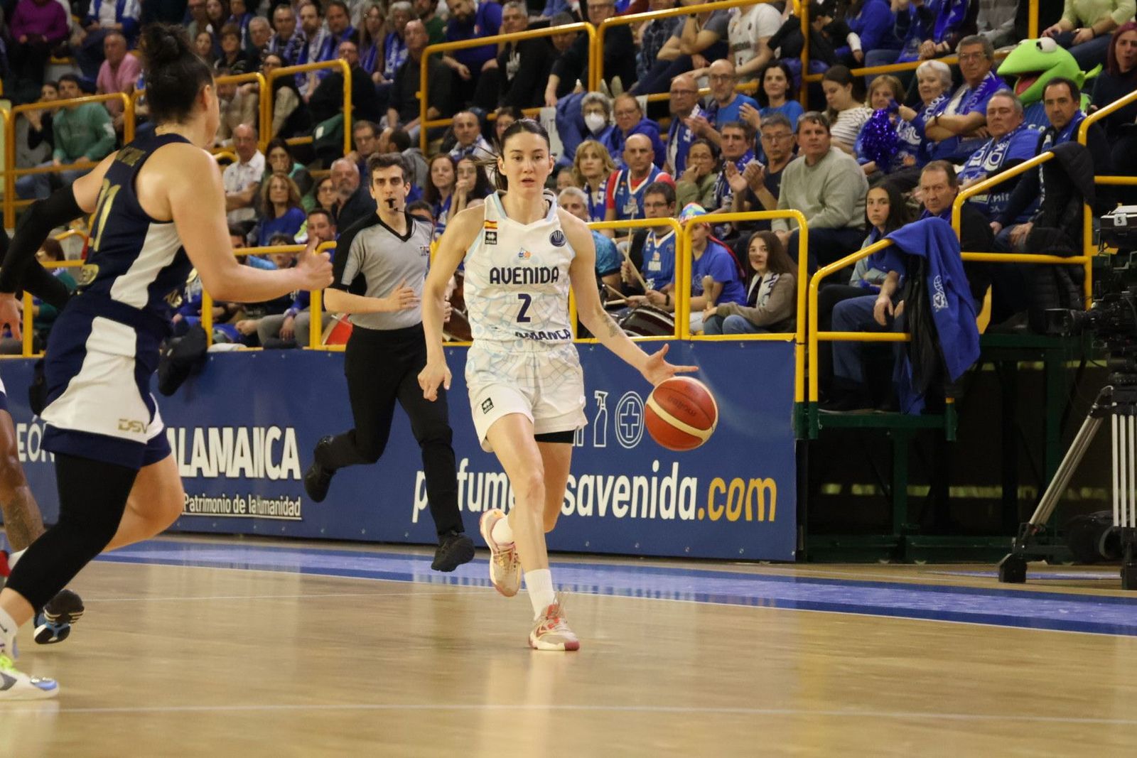 20240228215430-img-7403