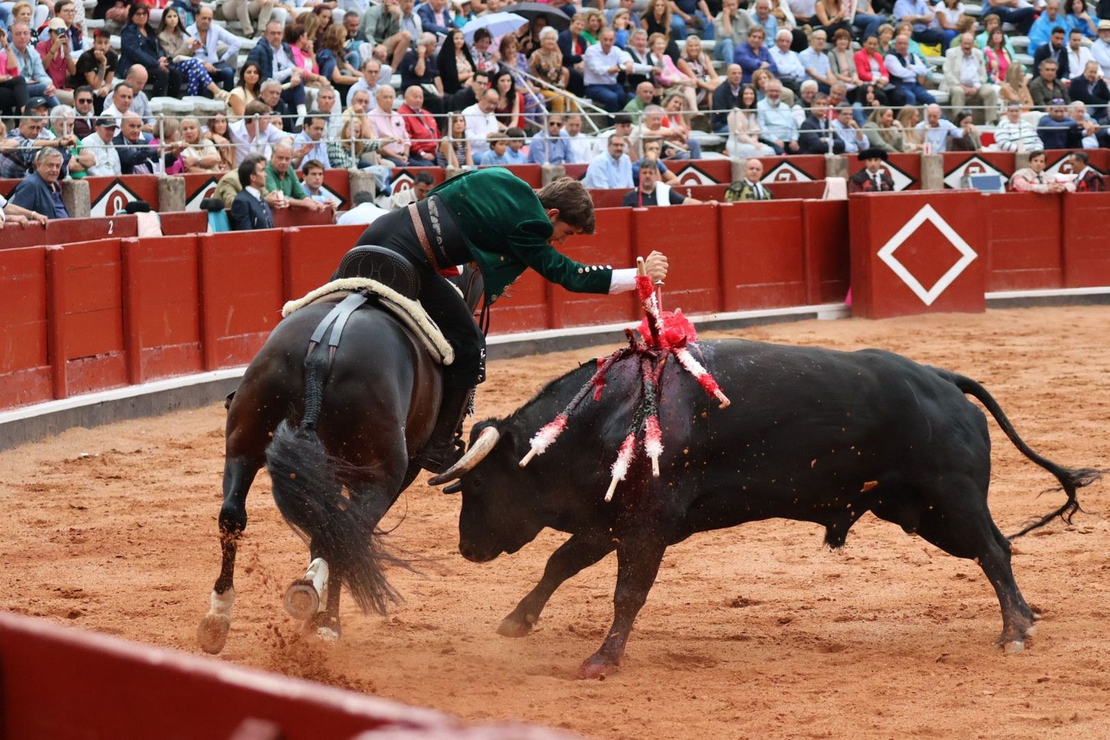 20230909190834-img-0808