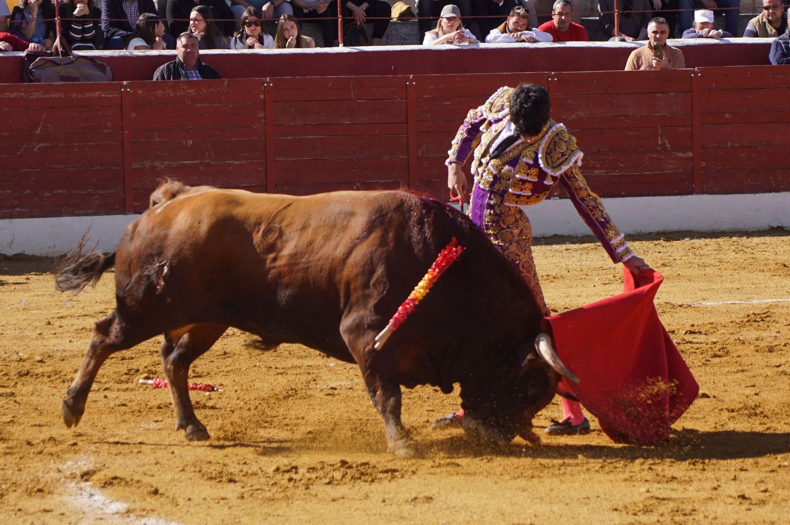 novillada-con-picadores-en-villoria-25