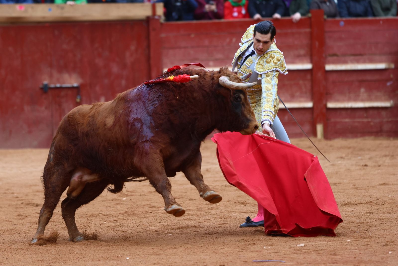 Novillada con picadores de lunes en el Carnaval del Toro de Ciudad Rodrigo 2026
