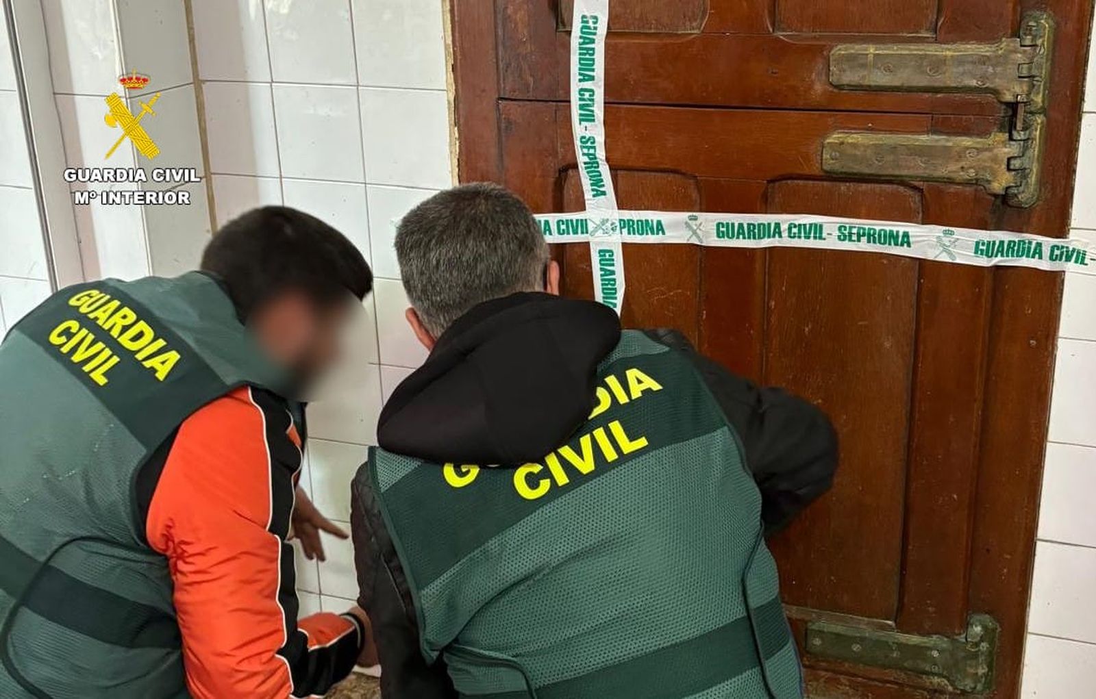 Garaje clandestino en Zamora capital: intervenidos 550 kilos de carnes para su venta al público