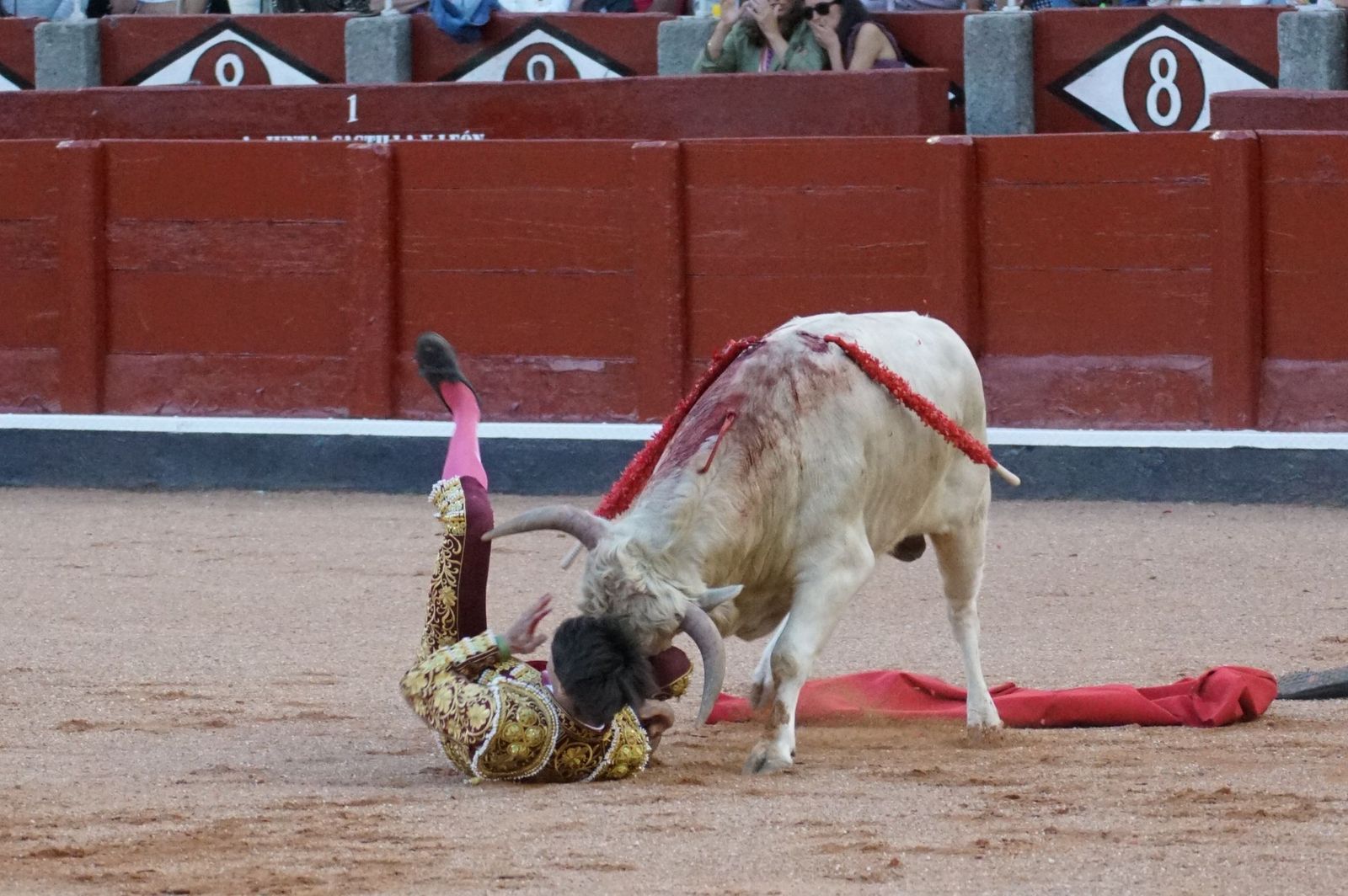 Clase práctica con alumnos de la Escuela de Tauromaquia de Salamanca (Diego Mateos, Noel García y Álvaro Rojo con erales de Esteban Isidro)