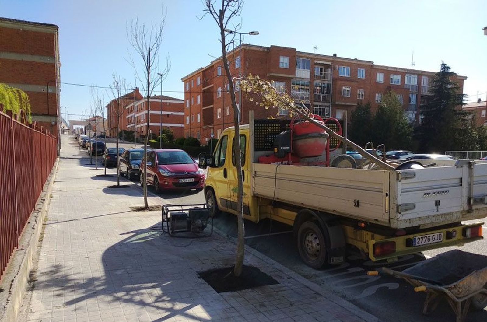 Arboles Juan Sebastian Elcano 1