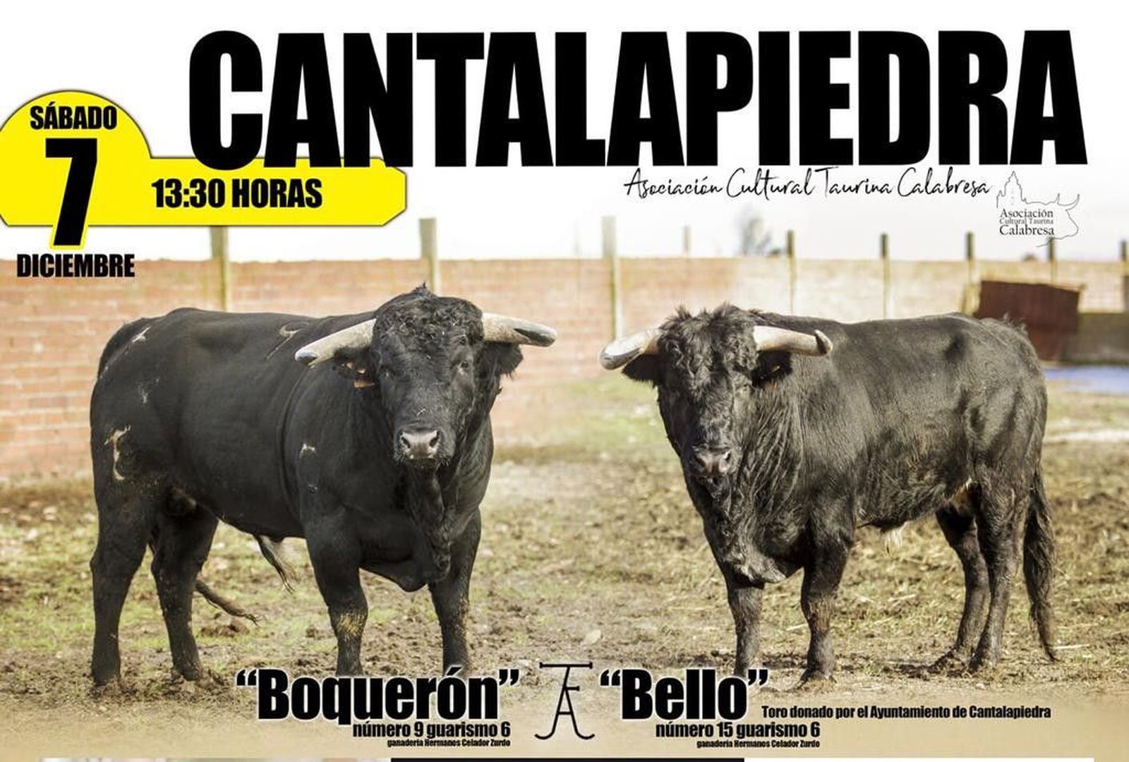 5403f83f 838c 4bea b1f1 1b805d6e2784