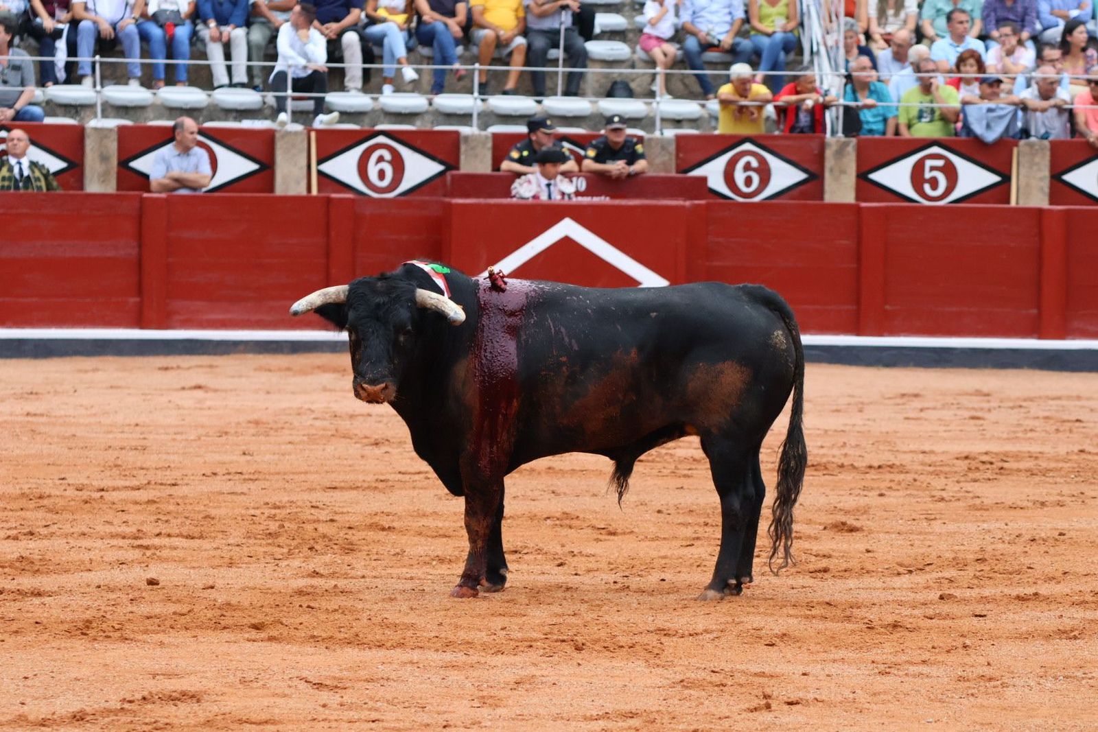 20230909173817-img-0504