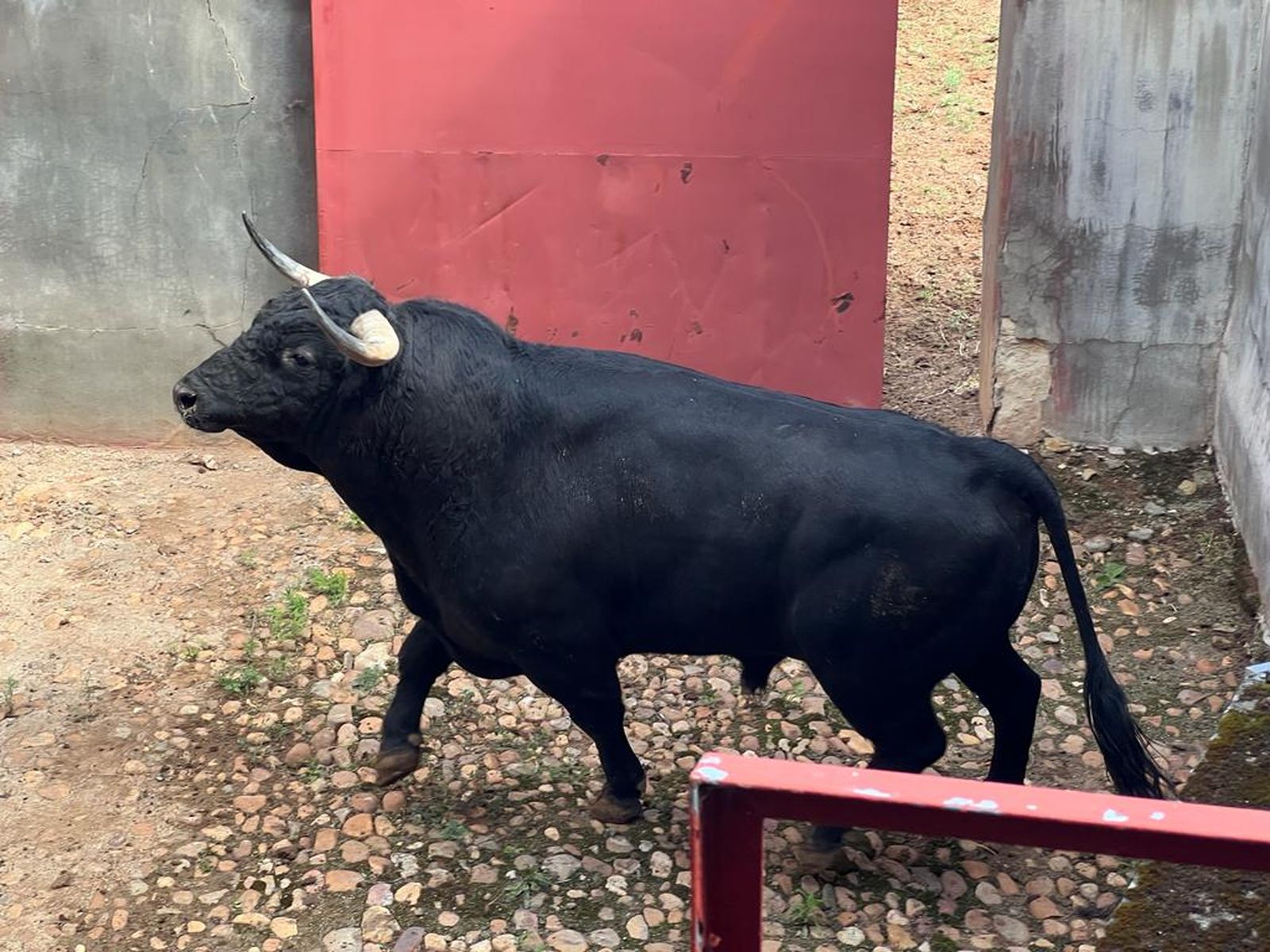 whatsapp-image-2023-09-17-at-12-56-04