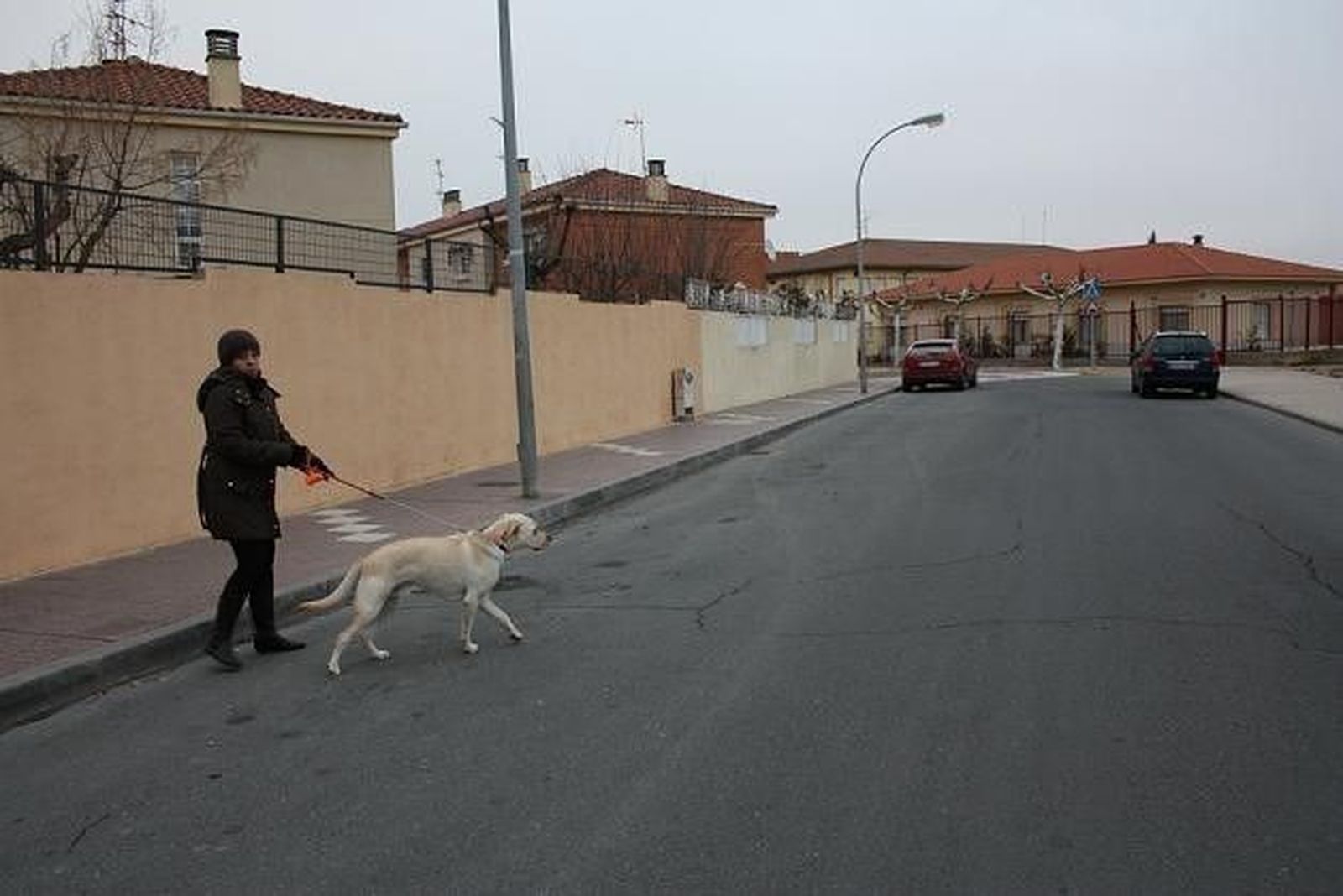 La Policía Local controlará a más de un millar de mascotas