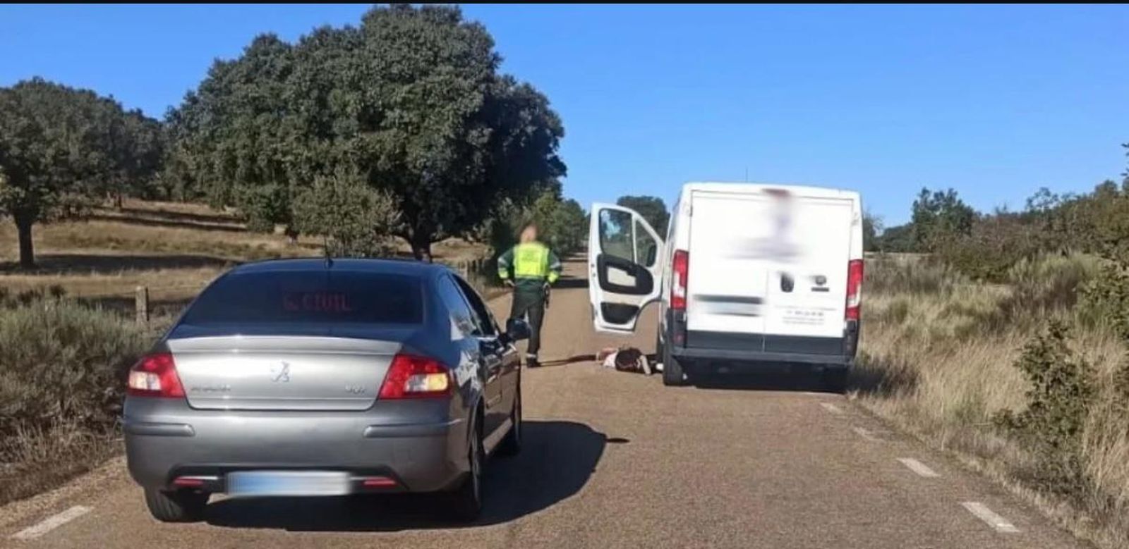 Detenido en Salamanca un varón con una orden de búsqueda al ser sorprendido conduciendo una furgoneta robada