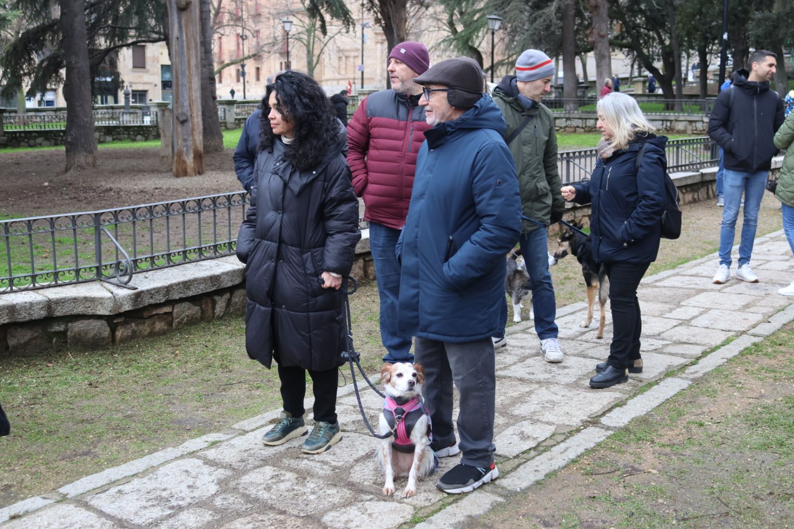 Bendición de los animales por San Antón en el Campo de San Francisco
