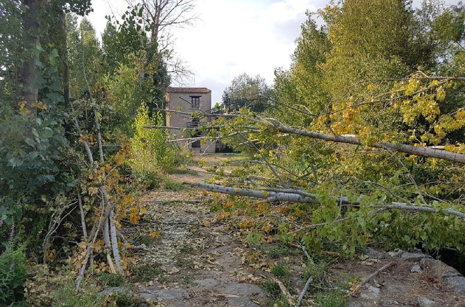 Entorno aceñas cabañales