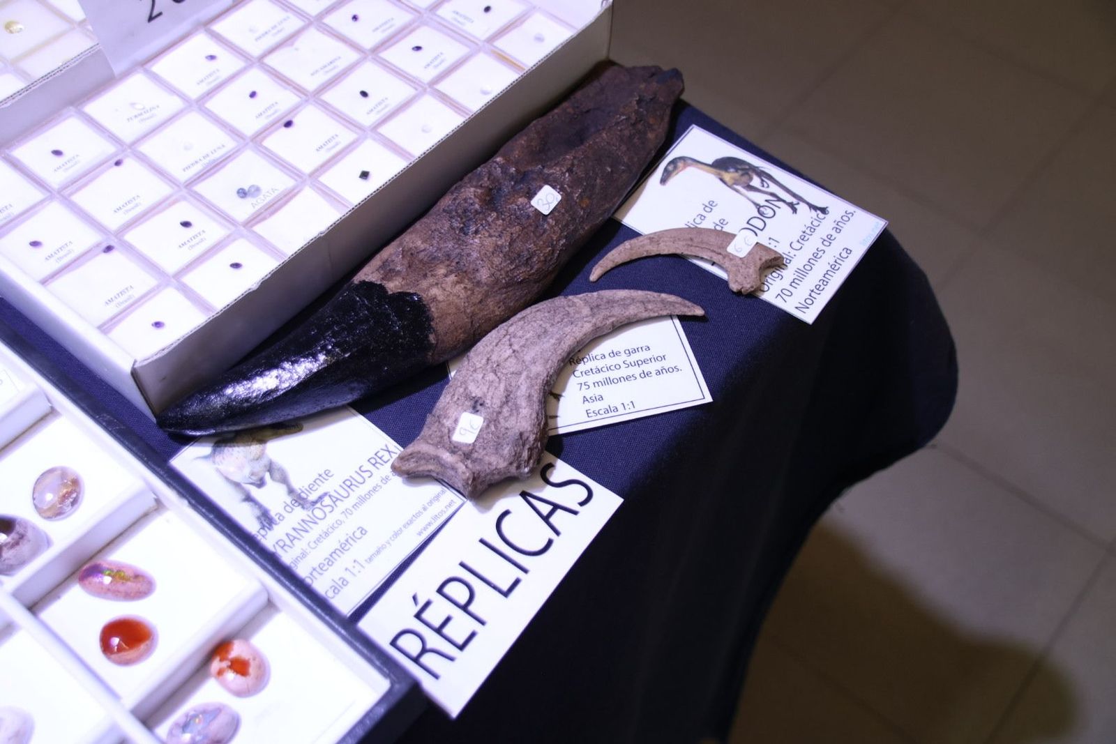 20240517104915-img-0438