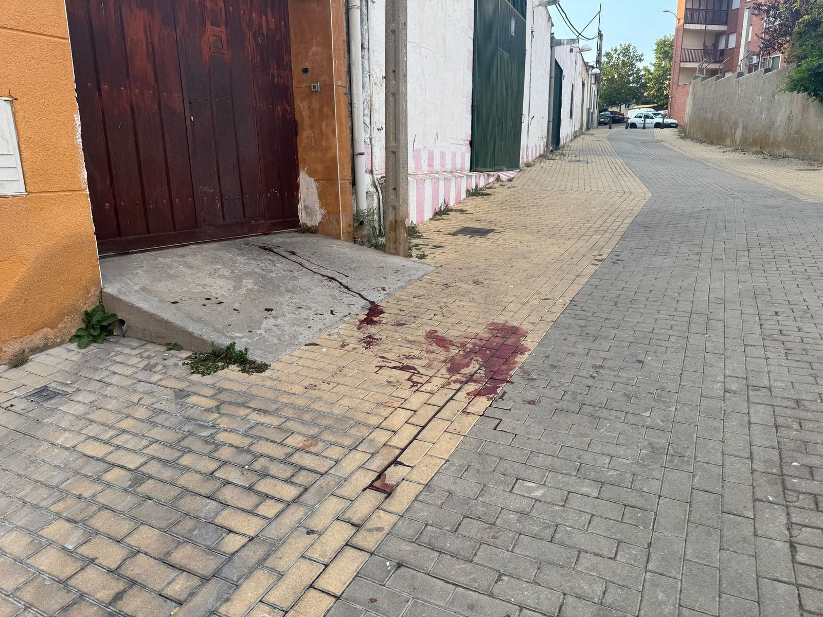 Un varón de 70 años herido tras una agresión en Pizarrales Un varón de 70 años herido tras una agresión en Pizarrales