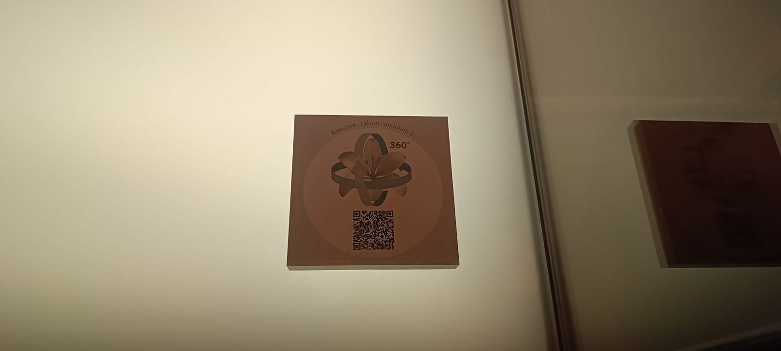 exposicion-botanica-17