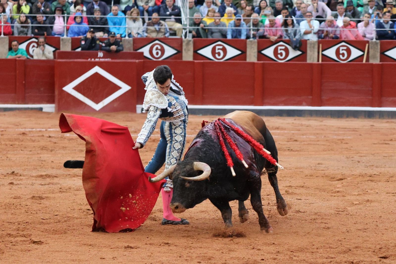 20230916190902-img-5679