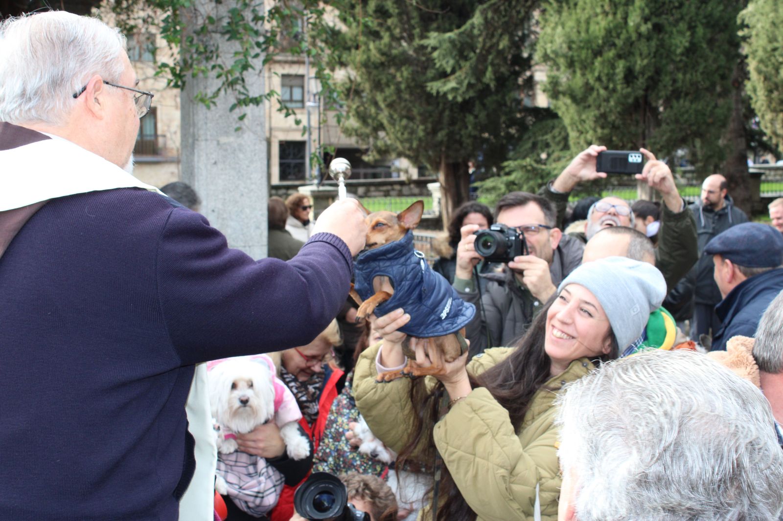 san-anton-bendicion-de-animales-2024-foto-s24h-87