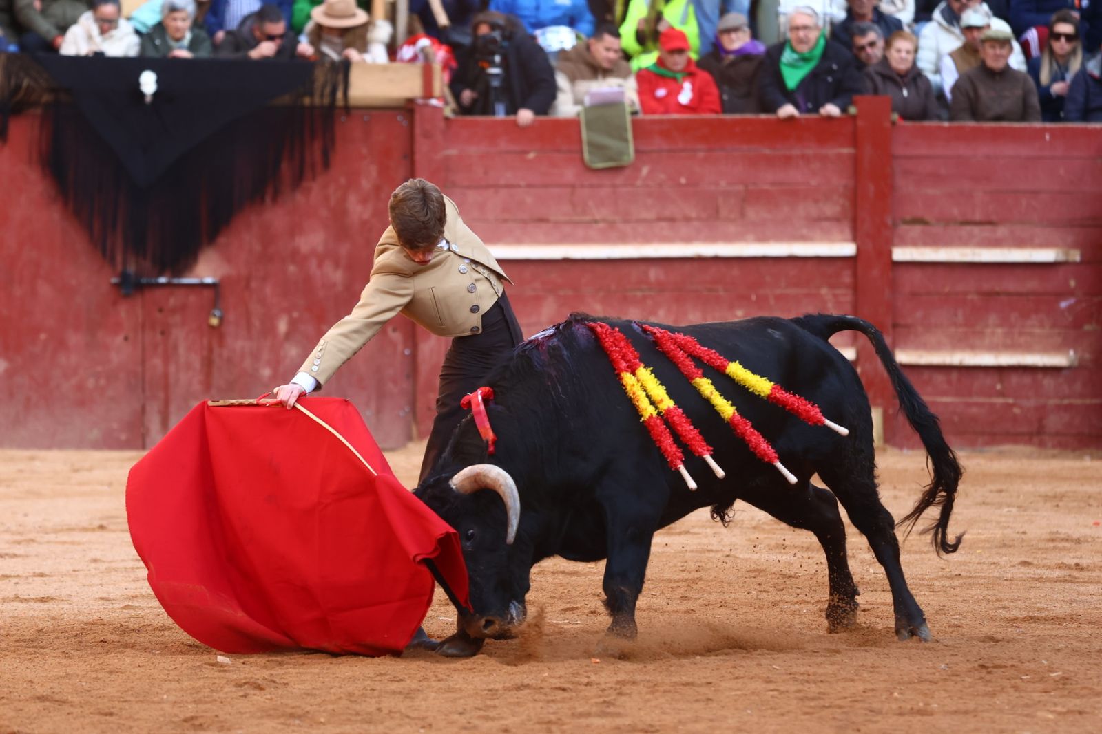 Festival del martes en el Carnaval del Toro 2026
