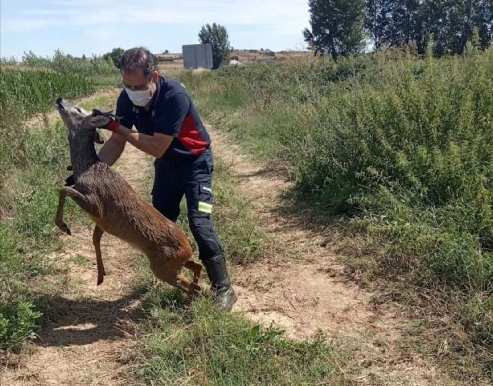 109228874 2814494741988092 8037466965960098698 o