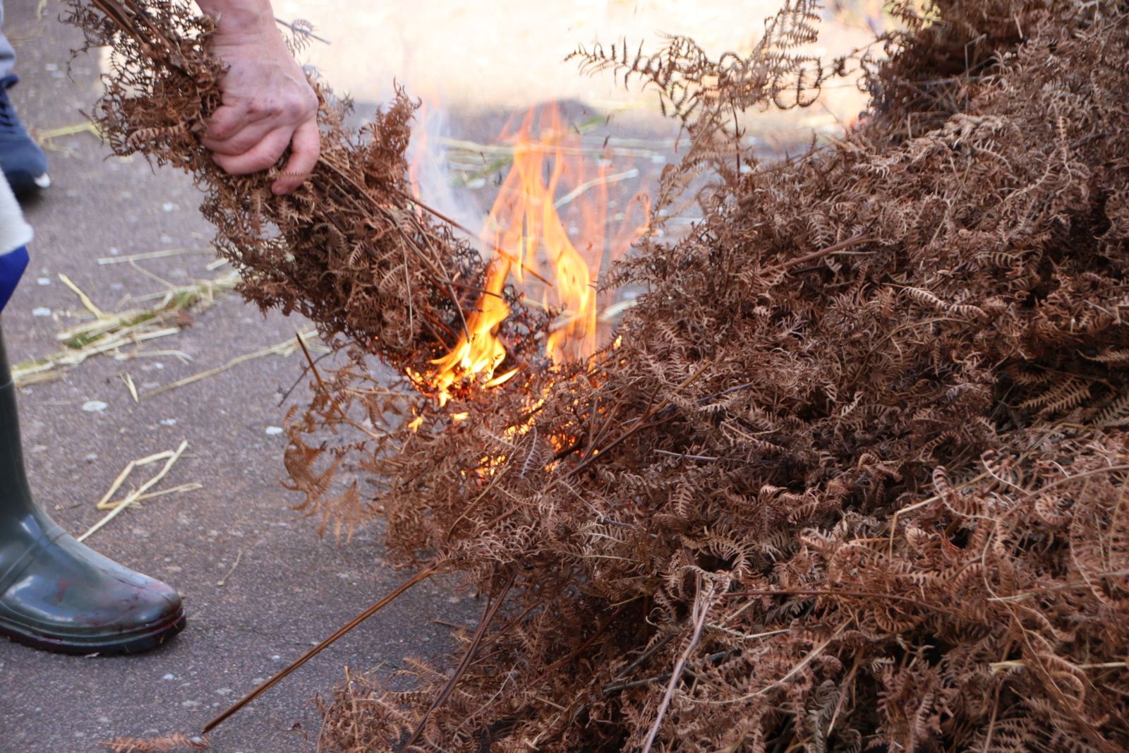 Guijuelo Matanza Típica