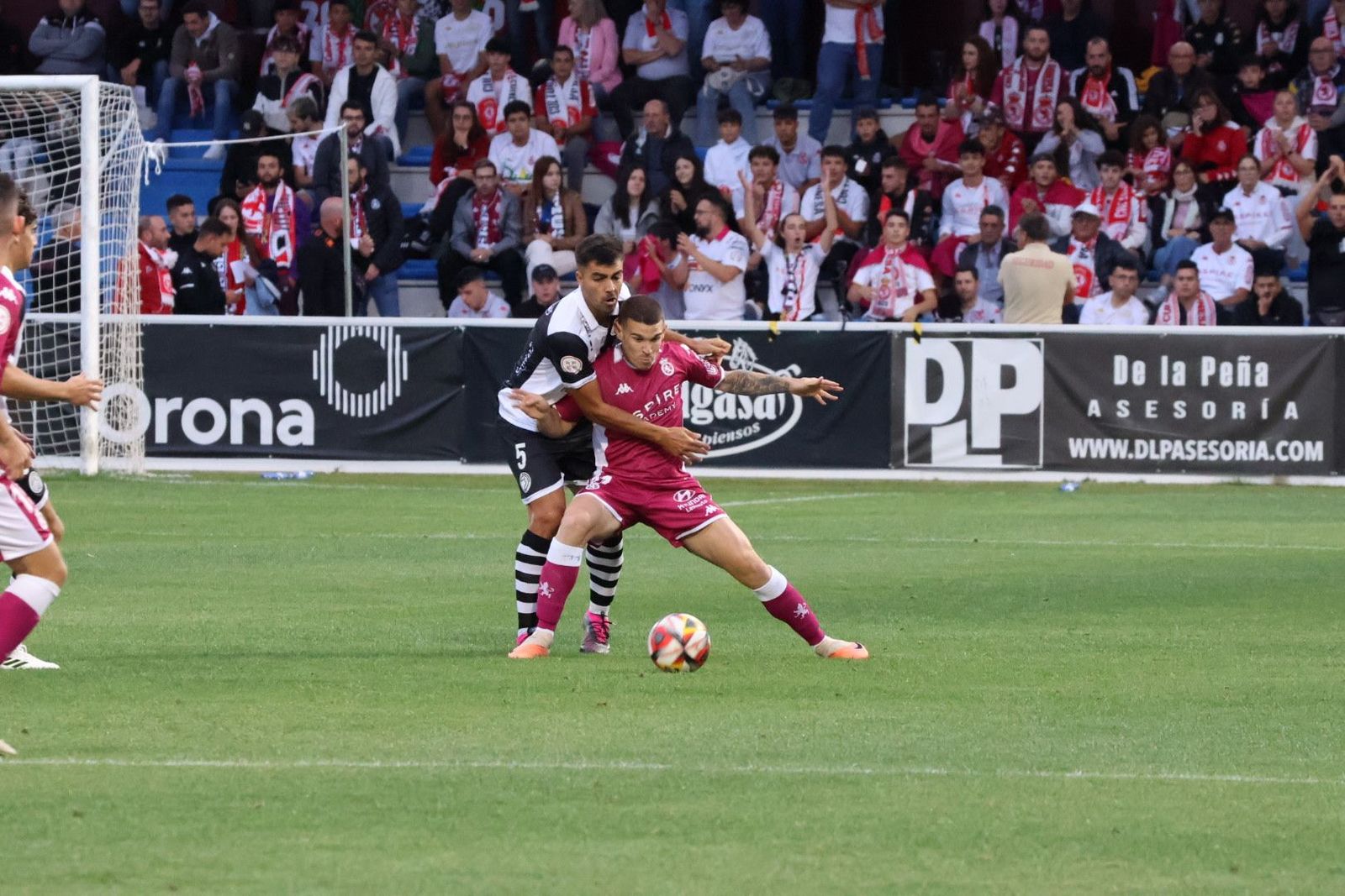 20230902193738-img-7400