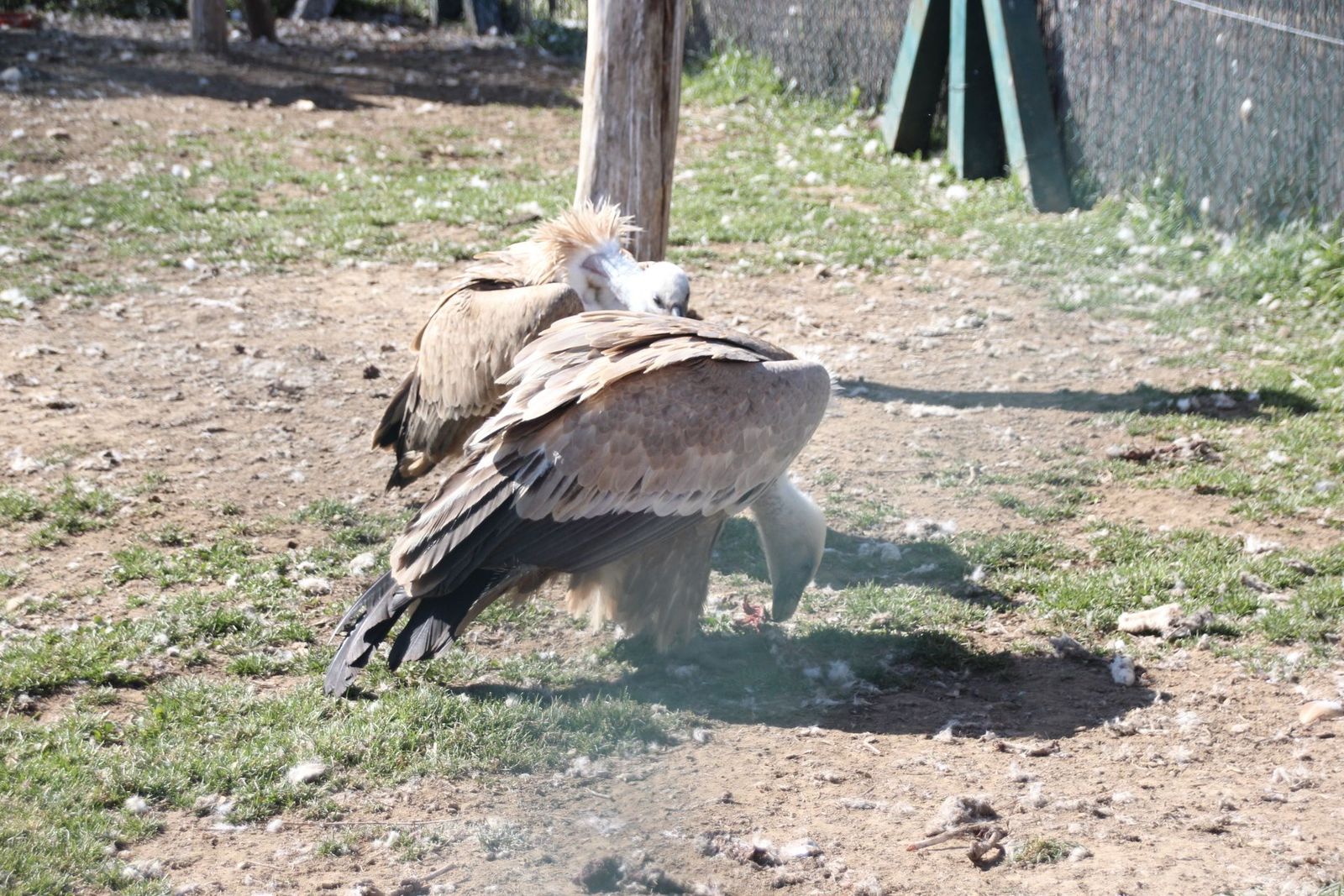 20230304151909-img-1666