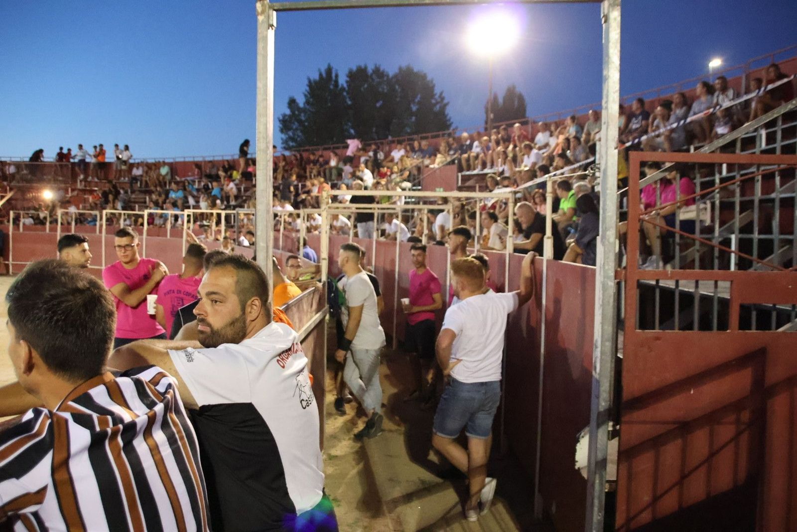 20230812205642-img-1178