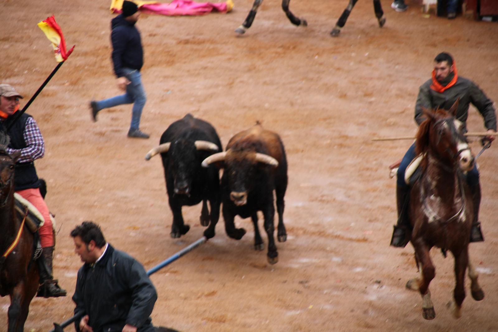 whatsapp-image-2024-02-11-at-11-41-49-2