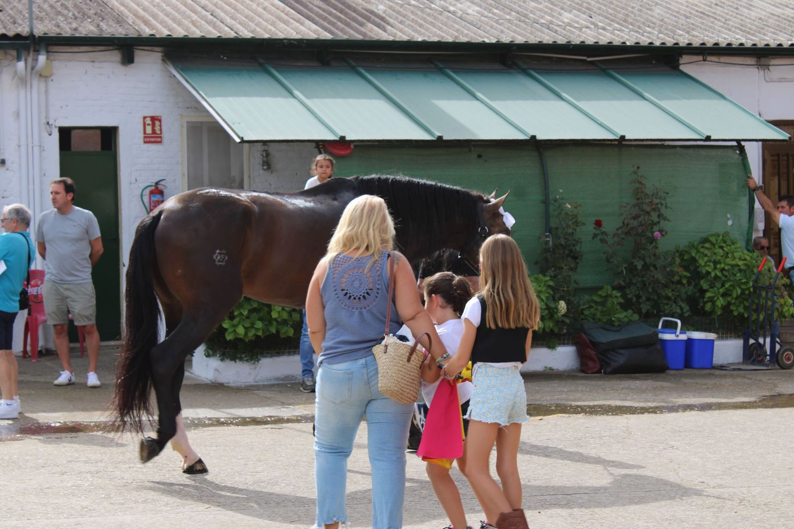 Un encierro de grata presentación de Sánchez y Sánchez para corrida de rejones de la feria