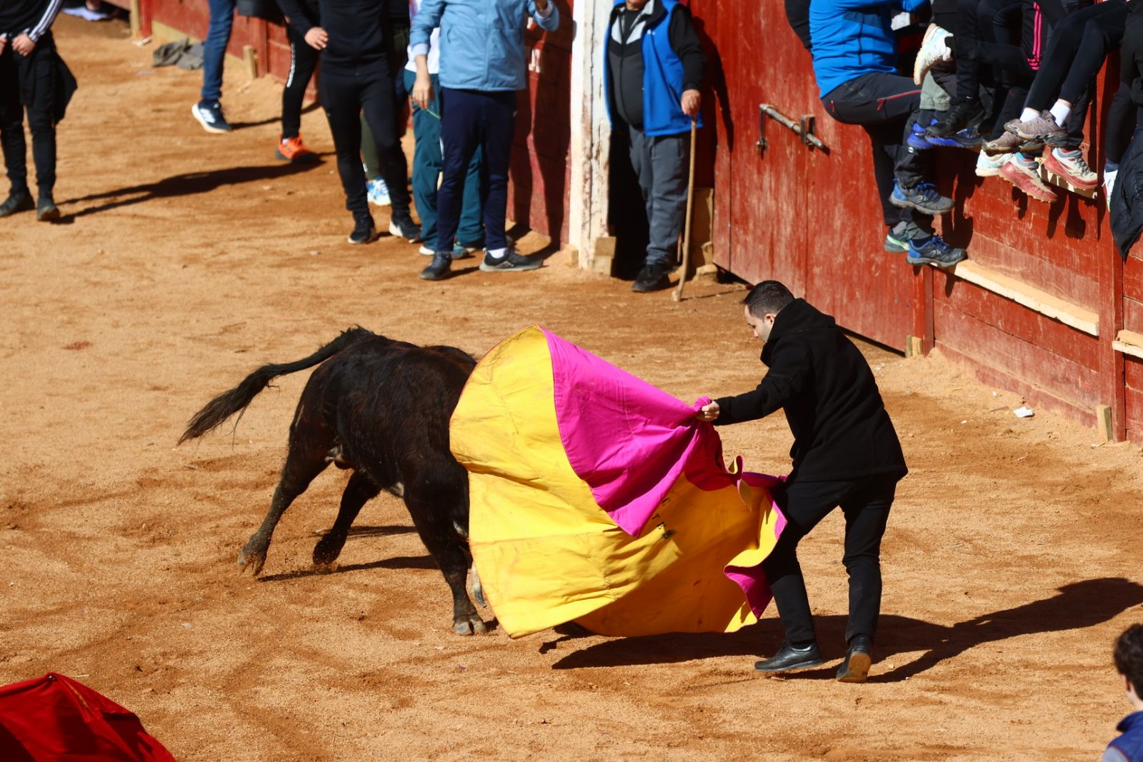 Capea de mañana en el martes del Carnaval del Toro de Ciudad Rodrigo