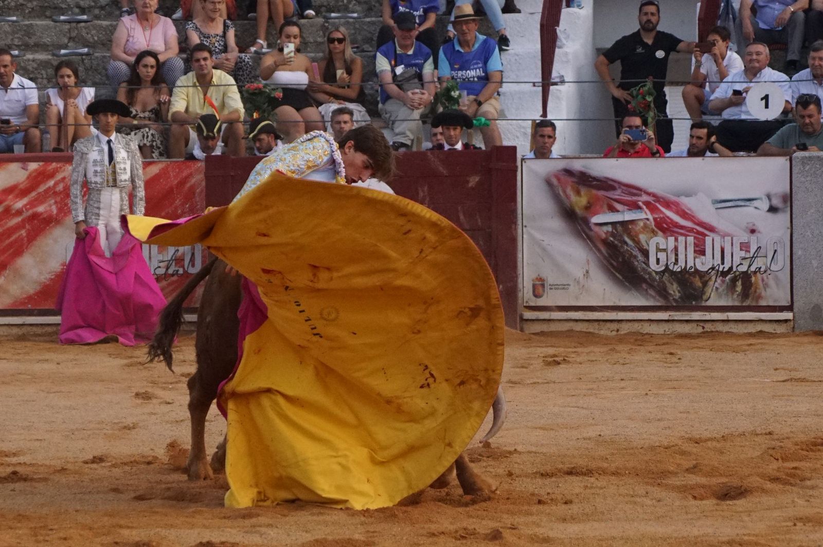 Novillada mixta en picadores en Guijuelo, 17 de agosto