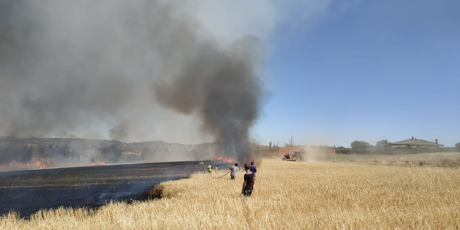 WhatsApp Image 2020 07 05 at 16.26.21 (2)