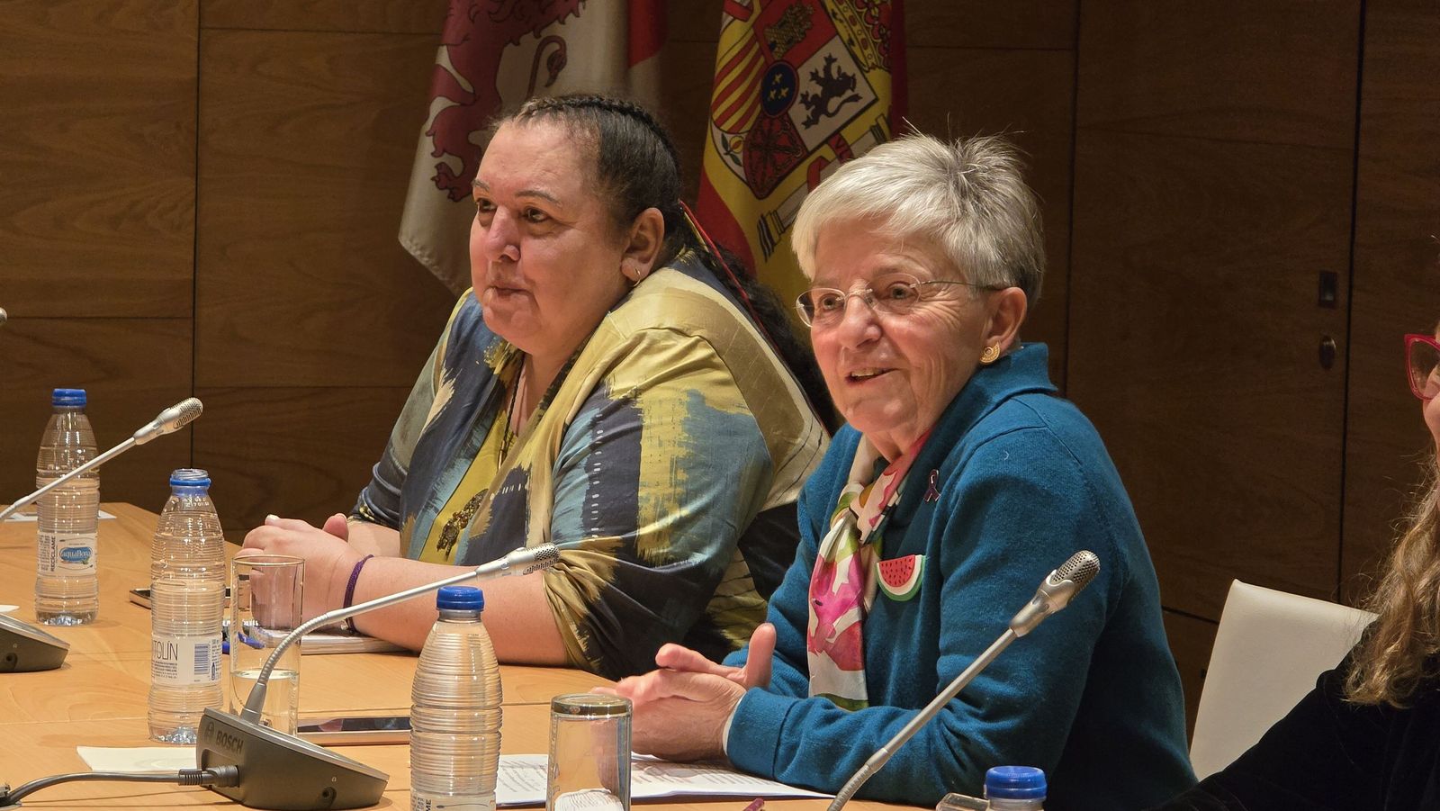 Conferencia Violencia institucional contra las mujeres desde el Franquismo hasta hoy