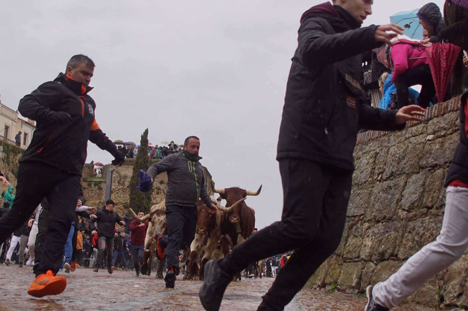 whatsapp-image-2025-03-03-at-14-51-26