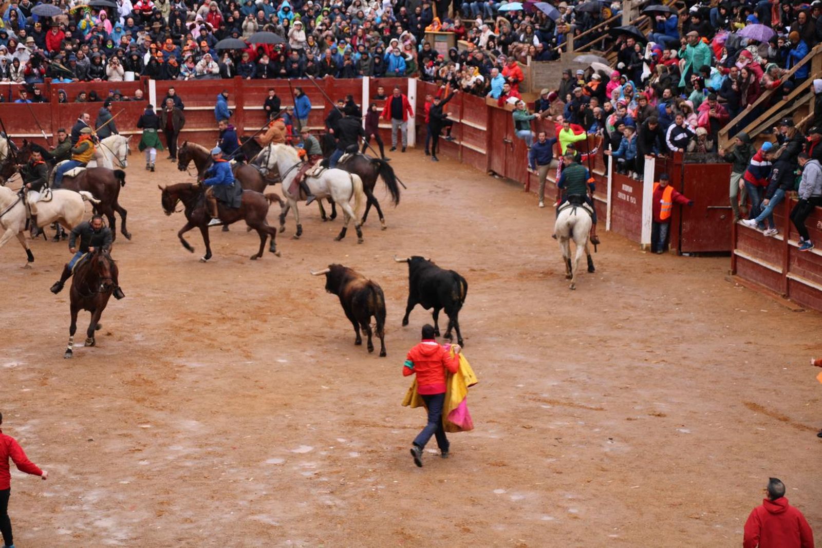 whatsapp-image-2024-02-11-at-11-41-49-5