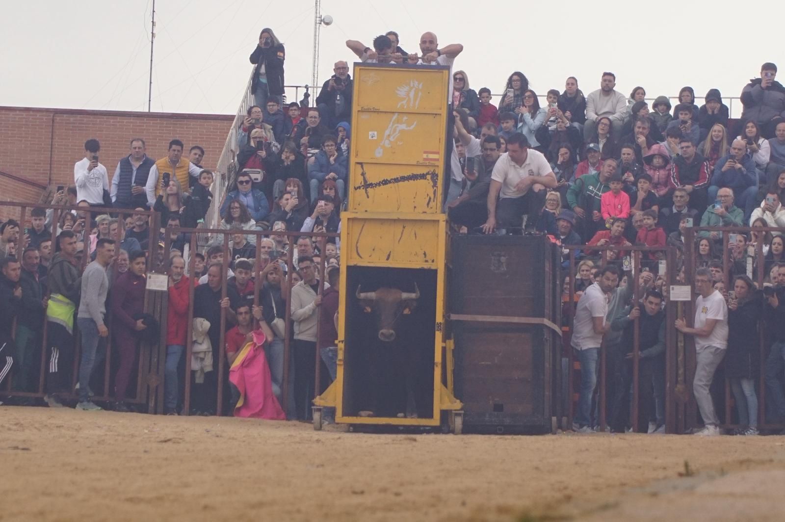 Villoria, toro del Voto