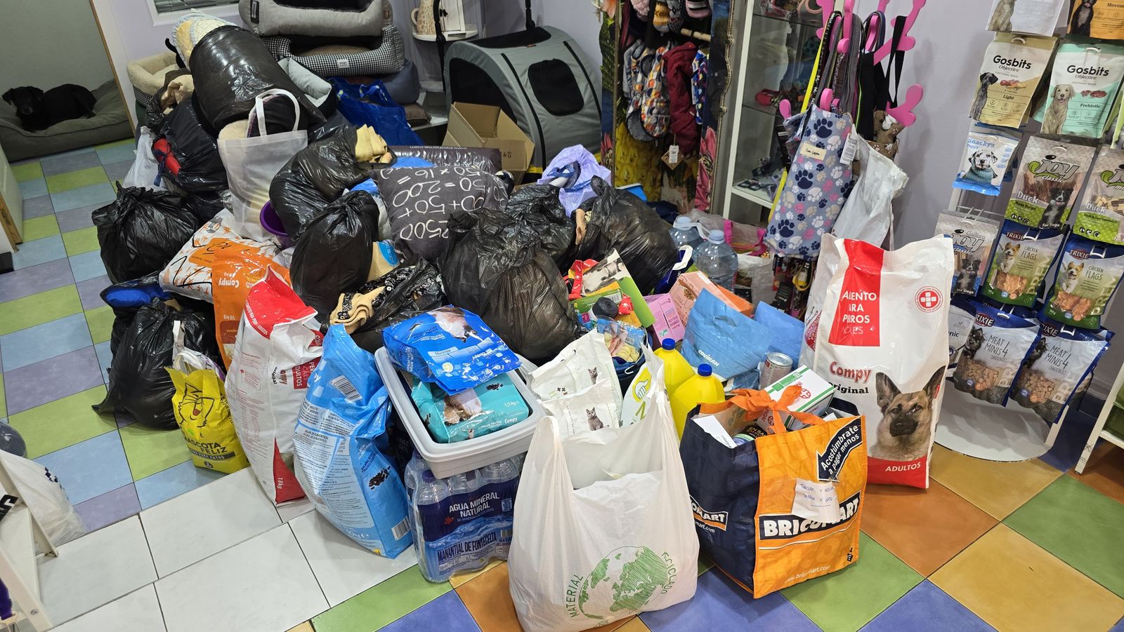Recogida por la DANA en Vega Pet Shop (1)