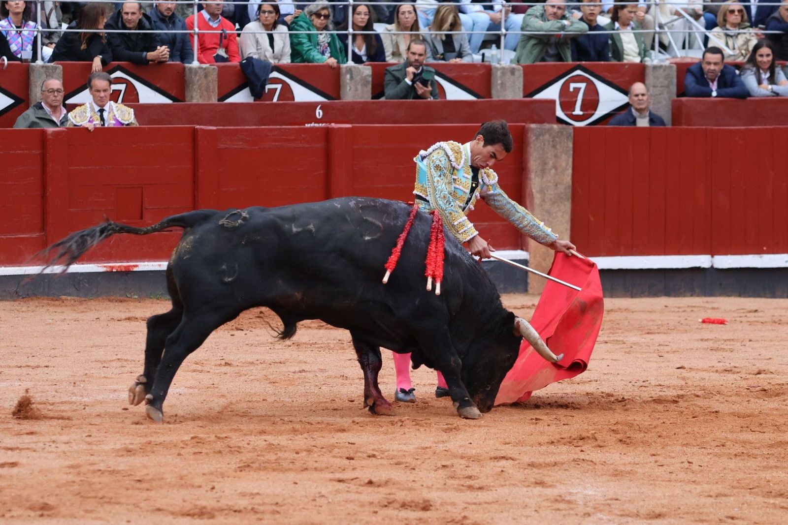 20230921181249-img-8102