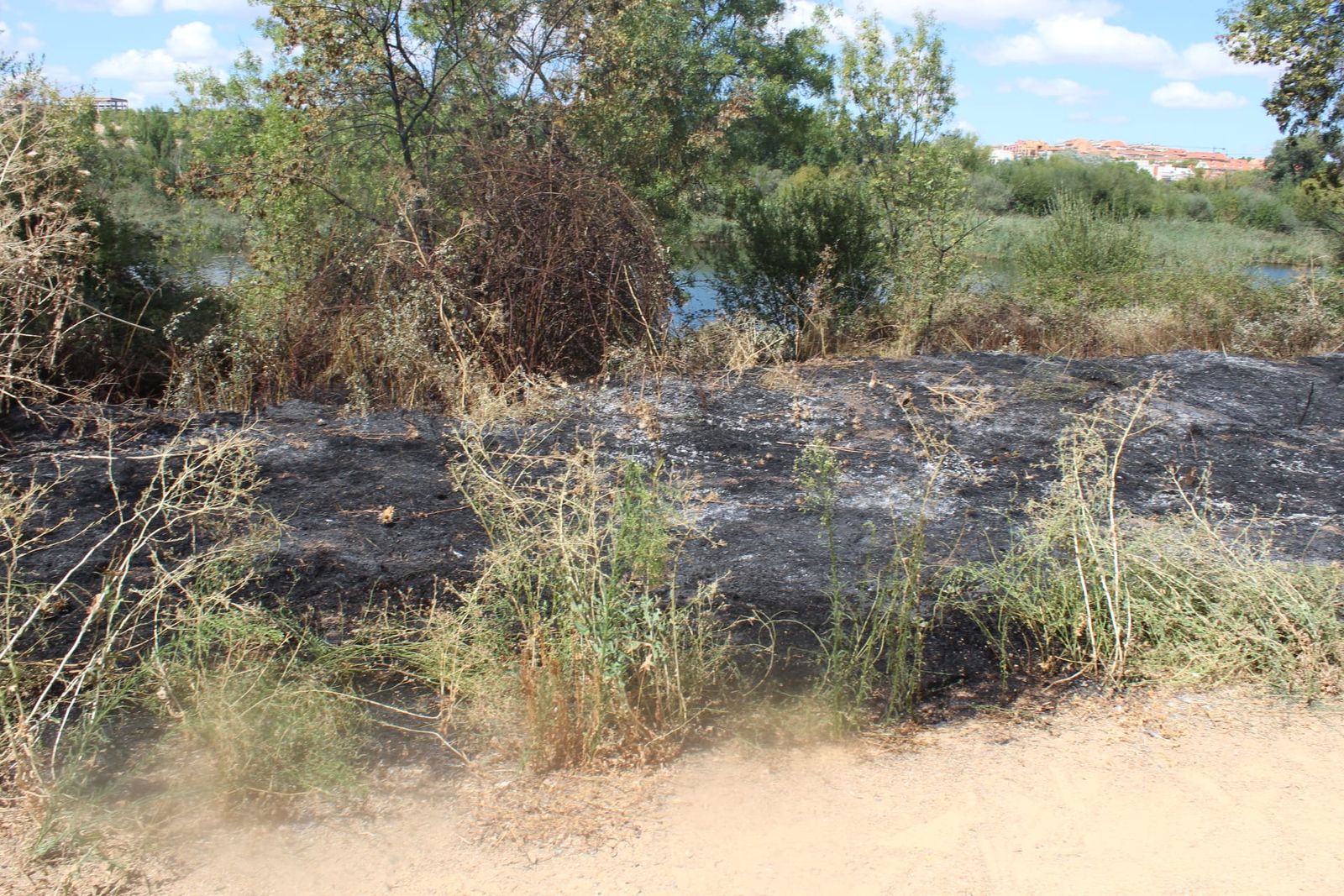 incendio-en-la-zona-de-tejares-9