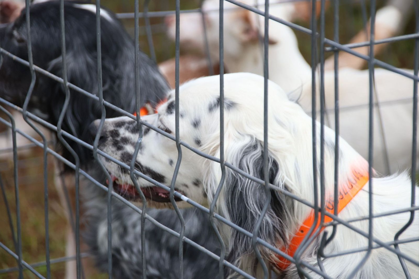 20240501104037-img-2953