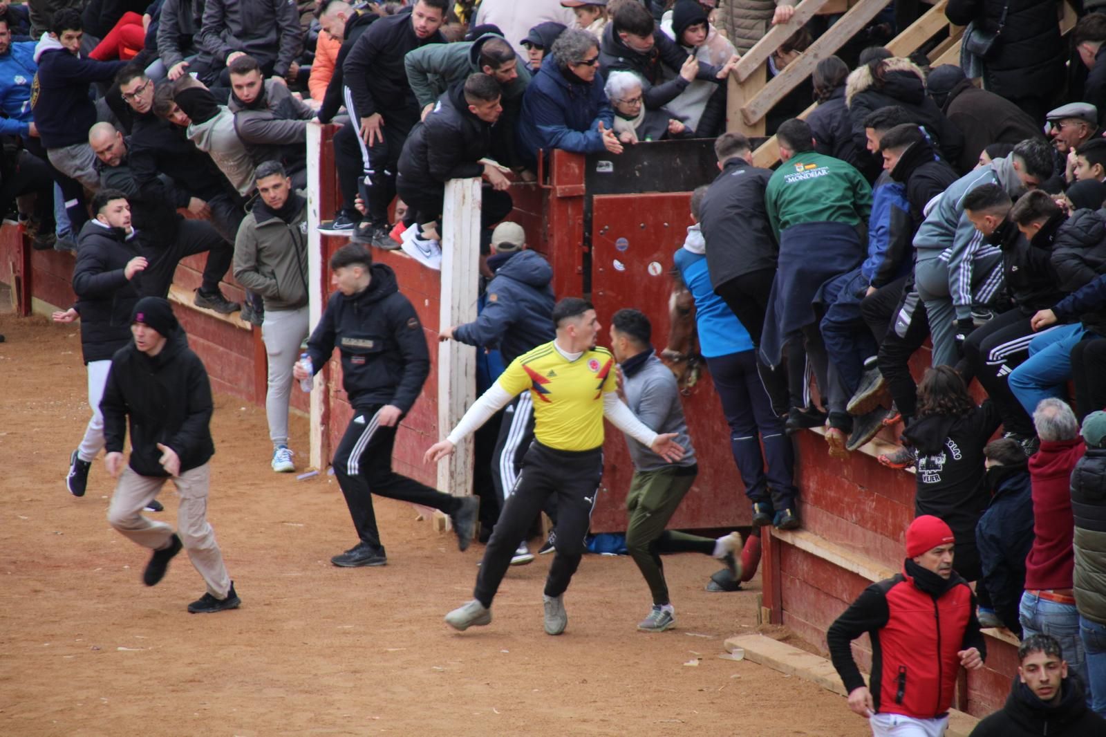 Encierro a Caballo en el Carnaval del Toro 2026 de Ciudad Rodrigo