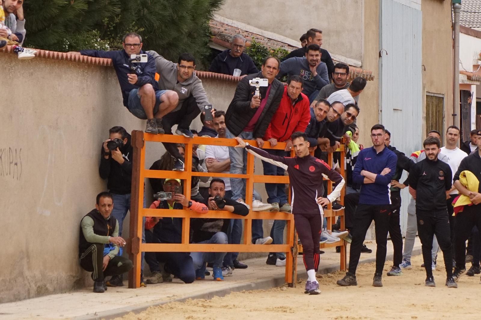 Villoria, toro del Voto