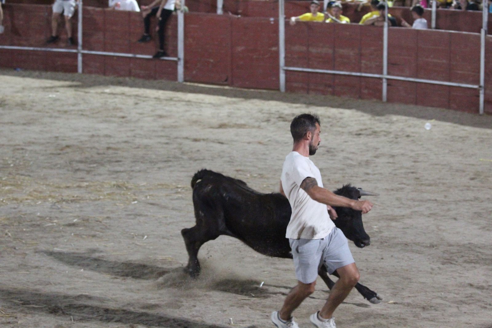 Así se ha vivido el Grand Prix de Carbajosa de la Sagrada y la posterior vaquilla