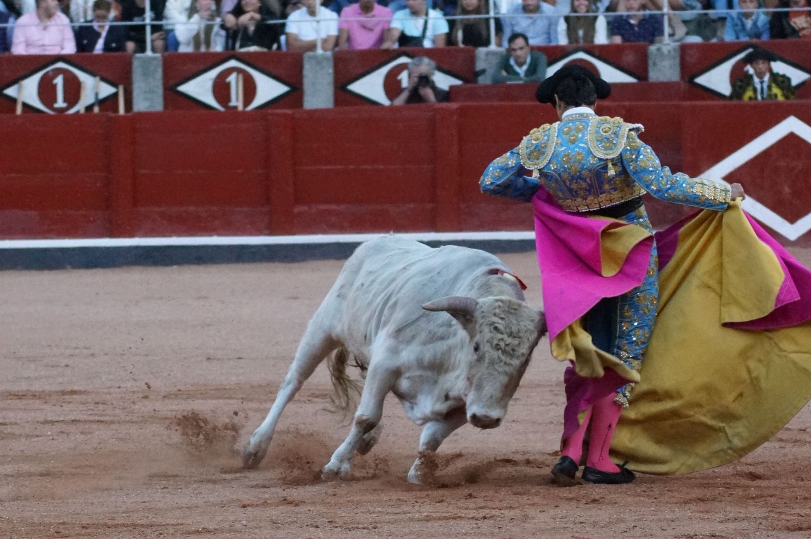 Clase práctica con alumnos de la Escuela de Tauromaquia de Salamanca