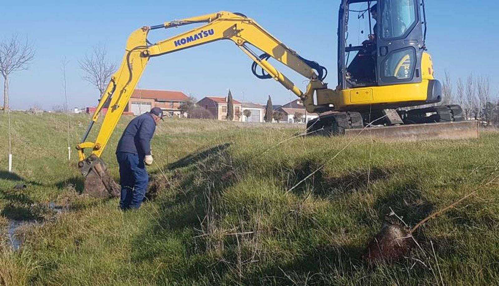 La vellés, plantación arboles1