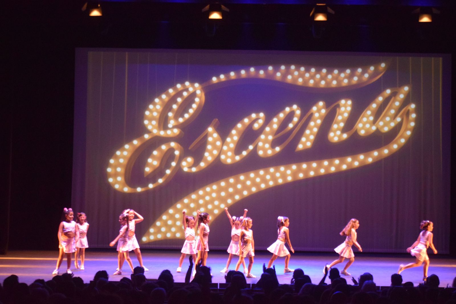 espectaculo-volver-de-escena-en-el-teatro-ramos-carrion-21